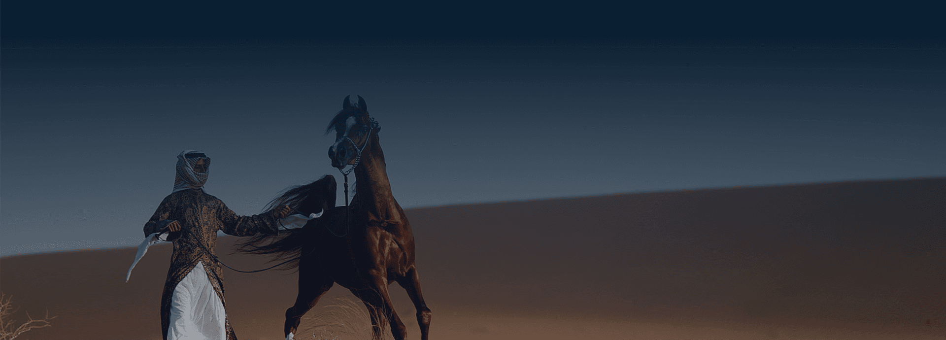 Here Background Image